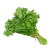 Cilantro 100gr