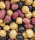 Papas Nativas Orgánicas