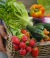 Alimentos Frescos