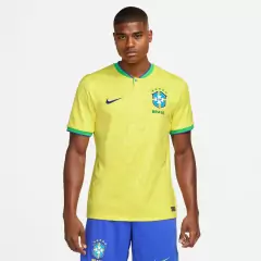 Camisa Nike Seleção Brasileira Pro na internet