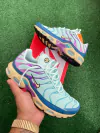 Nike Air Max Plus - Blue/Purple