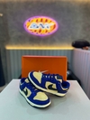 Nike Dunk Low Blue/Brown