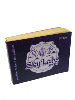 PITEIRAS SKYLABS - EXTRA LONGA na internet