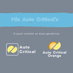 Mix Auto Critical's - AUTO/FEM