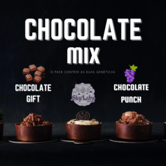 Chocolate Mix - FOTO/FEM