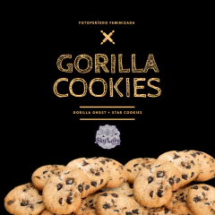 Gorilla Cookies - FOTO/FEM