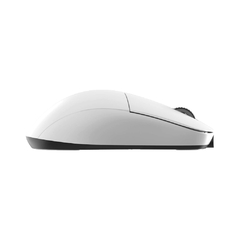 Endgame Gear XM2WE - Doctor Mouse - Periféricos de alta performance