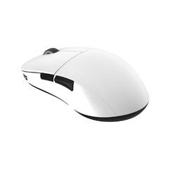 Imagem do Endgame Gear XM2WE
