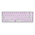 Polar 65 Phantom Series na internet