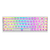 Polar 65 Phantom Series