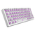 Polar 65 Phantom Series - loja online