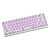 Imagem do Polar 65 Phantom Series