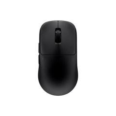 Pulsar TenZ na internet