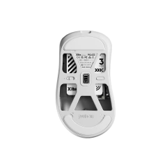 Pulsar Xlite v4 Large