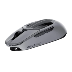 Arye RCC-1 na internet