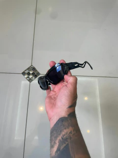 Shark Blackout na internet