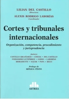 CORTES Y TRIBUNALES INTERNACIONALES