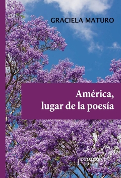 AMERICA, LUGAR DE LA POESIA