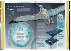 NATIONAL GEOGRAPHIC INFOGRAPHICS