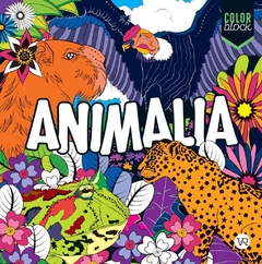 ANIMALIA. COLOR BLOCK