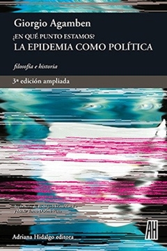 ¿EN QUE PUNTO ESTAMOS? LA EPIDEMIA COMO POLITICA