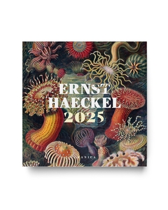 ERNST HAECKEL 2025. CALENDARIO DE PARED