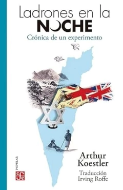 LADRONES EN LA NOCHE