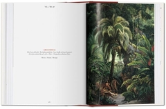 VON MARTIUS. EL LIBRO DE LAS PALMERAS