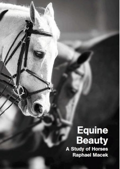 EQUINE BEAUTY