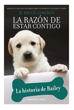 HISTORIA DE BAILEY LA RAZON DE ESTAR CONTIGO