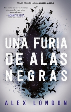 UNA FURIA DE ALAS NEGRAS LIGADOS AL CIELO 1