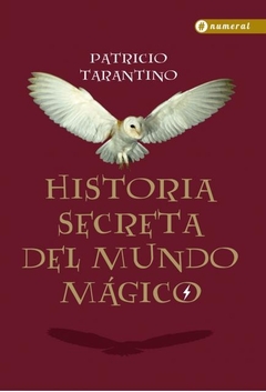 HISTORIA SECRETA DEL MUNDO MÁGICO