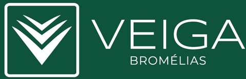 VEIGA BROMÉLIAS