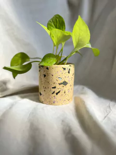 Maceta cilindro chica terrazo en internet