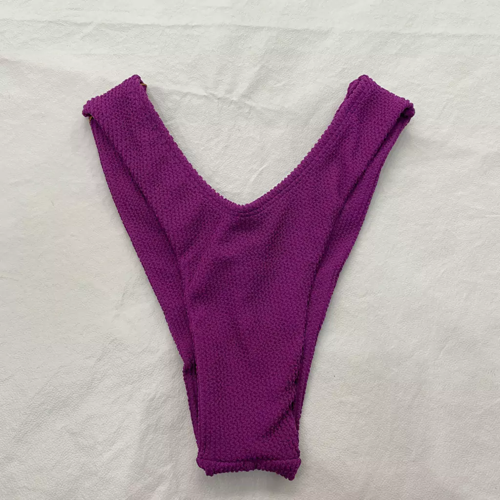 Calcinha Asa Anarruga Violeta