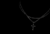 COLLARES
