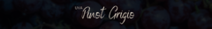Banner da categoria Pinot Grigio