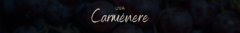 Banner da categoria Carménere