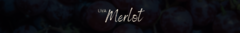 Banner da categoria Merlot 