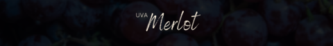 Banner da categoria Merlot 