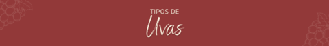 Banner da categoria Uvas 