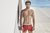 BRI01 BOXER RIVER - comprar online