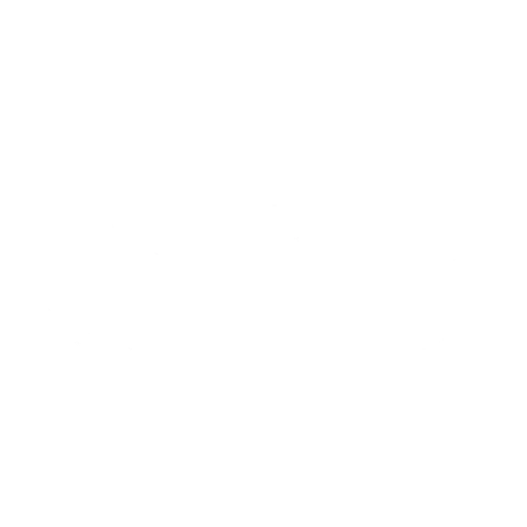 BK Moda Fitness