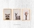Set animales en internet