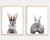 Set Conejo
