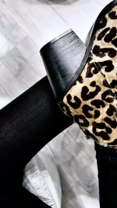 TEXANA #476 en internet