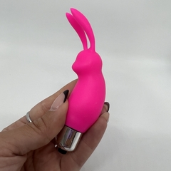 Mini rabbit