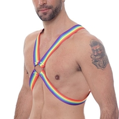 Pechera cruzada LGBT