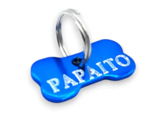 Chapita Small bone en color azul - tienda online