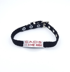Chapita pasador de gatos + Collar NO elastizado negro
